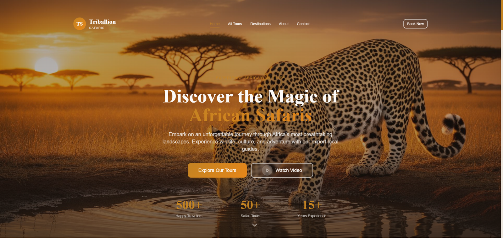 Travel and Tour Website